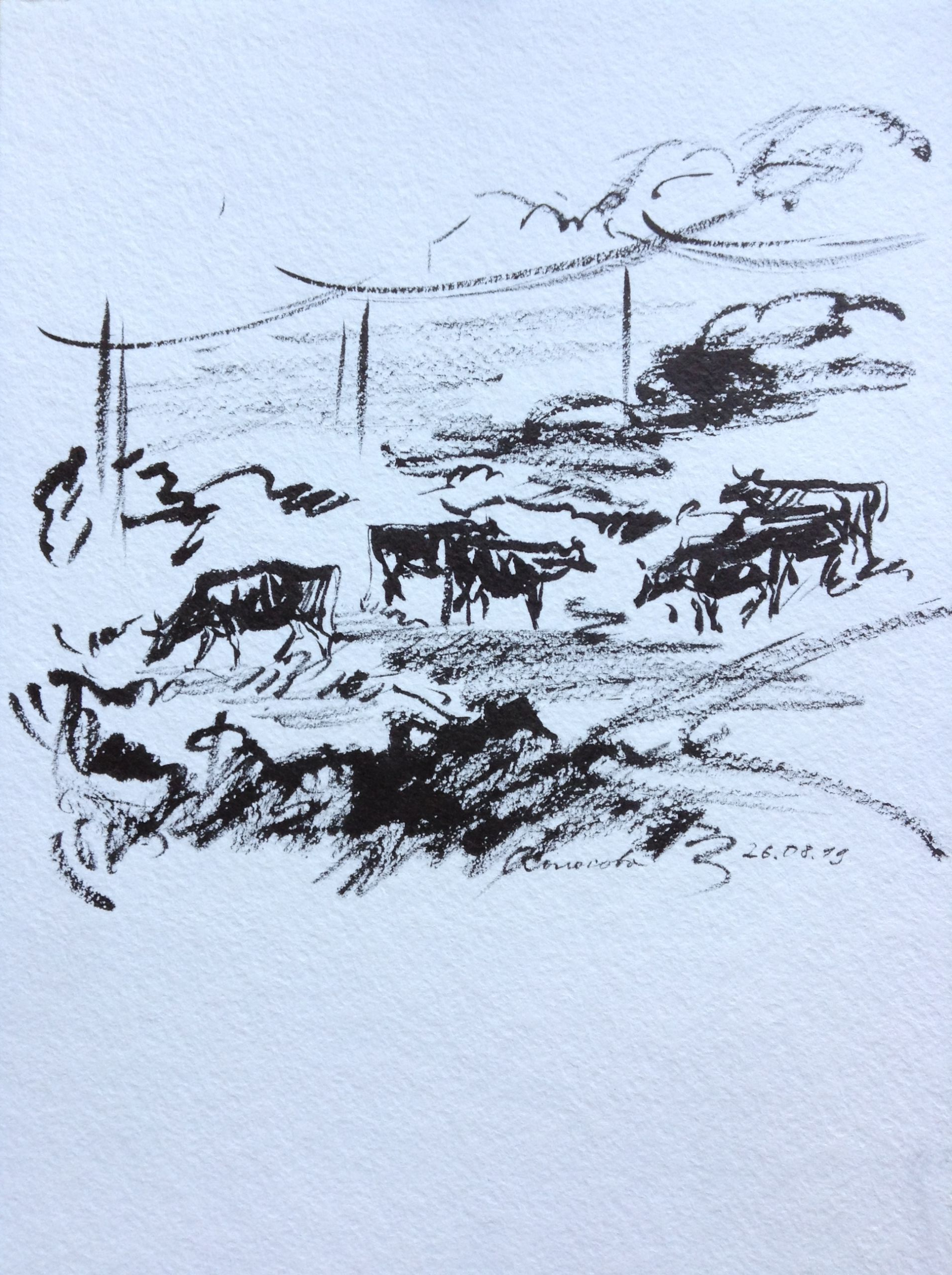 Графика с коровами