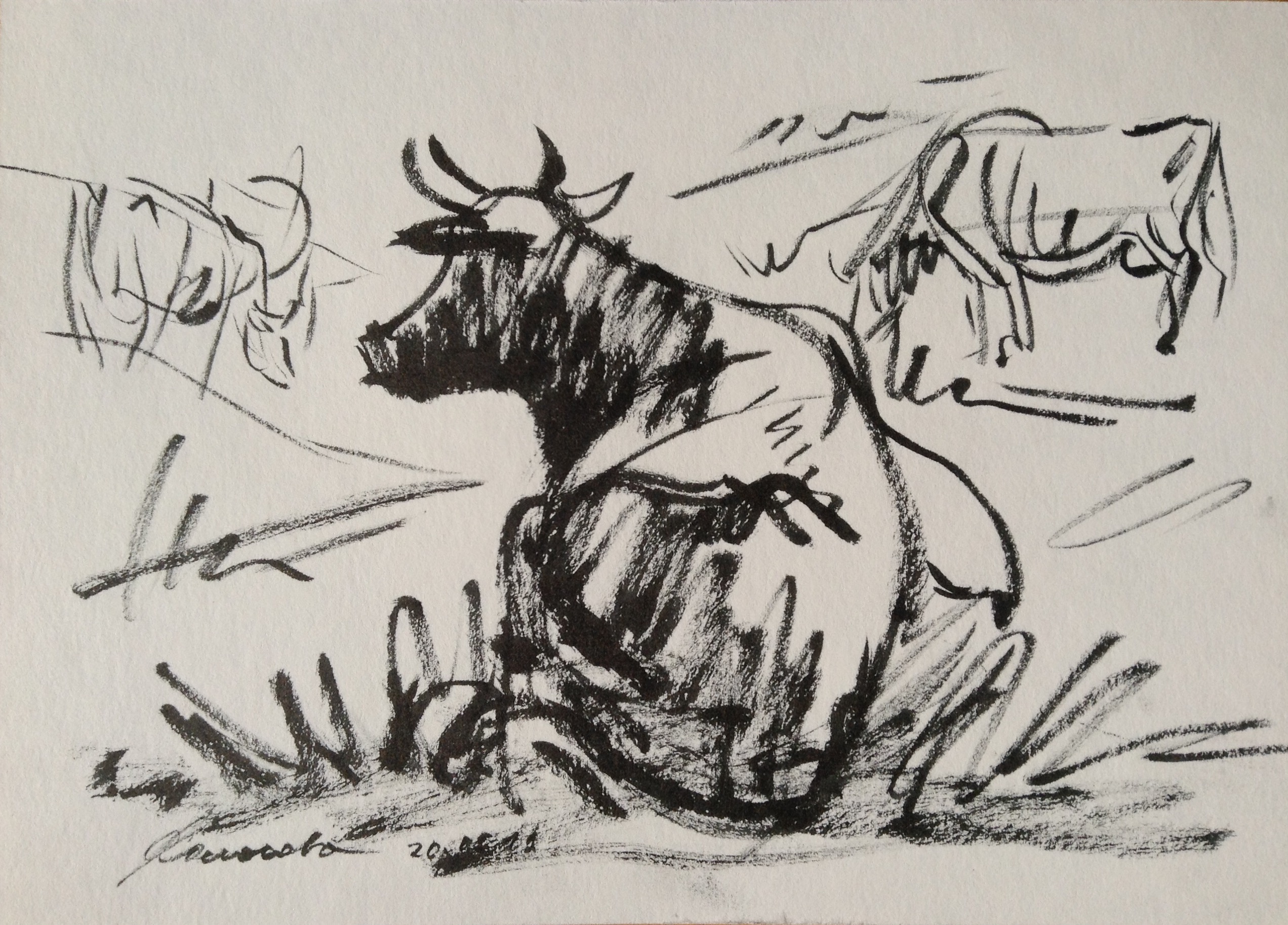 Графика с коровами