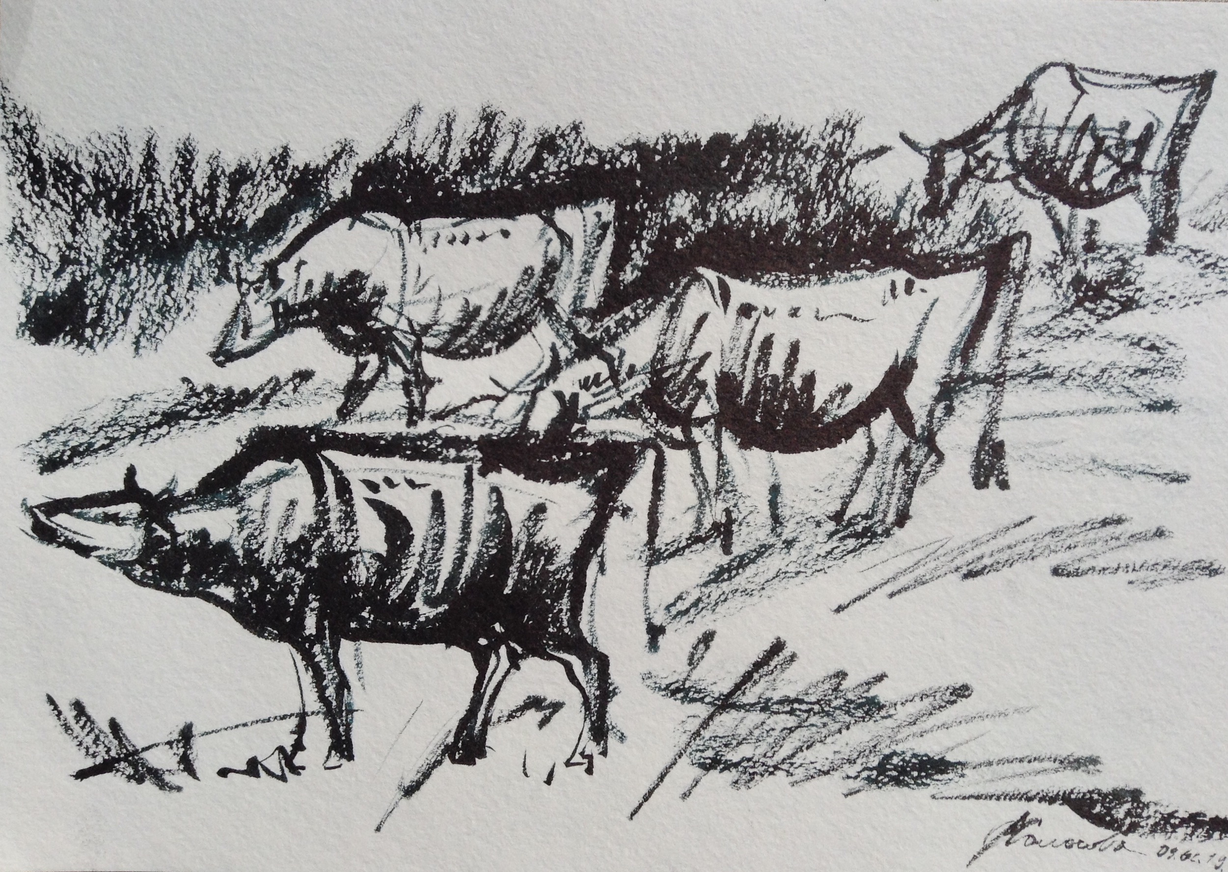 Графика с коровами