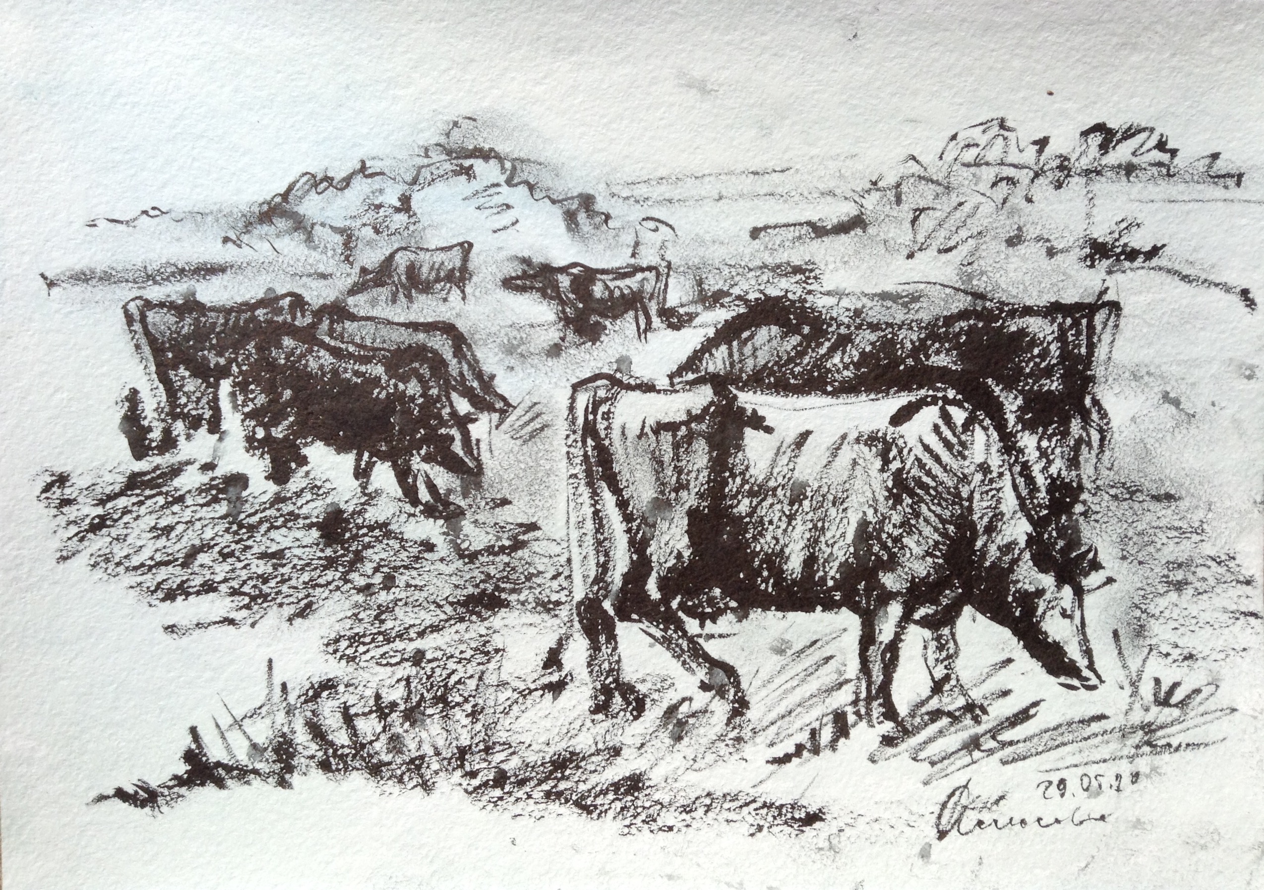 Графика с коровами