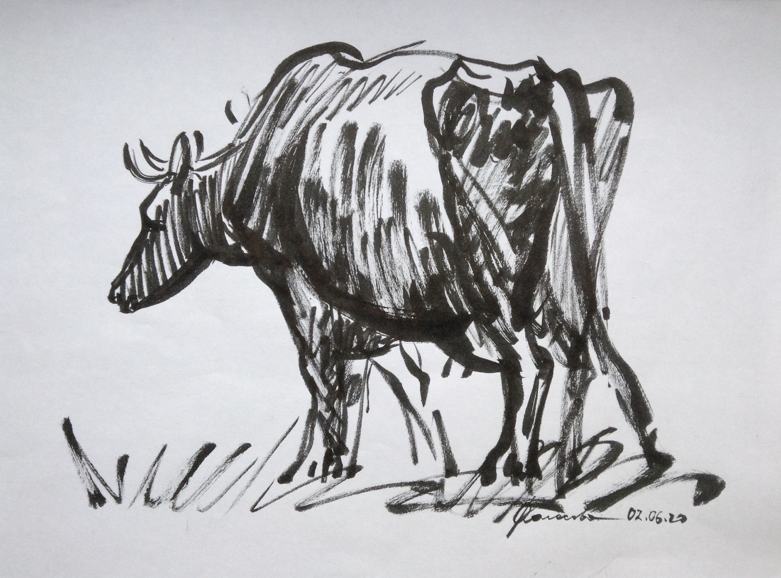 Графика с коровами