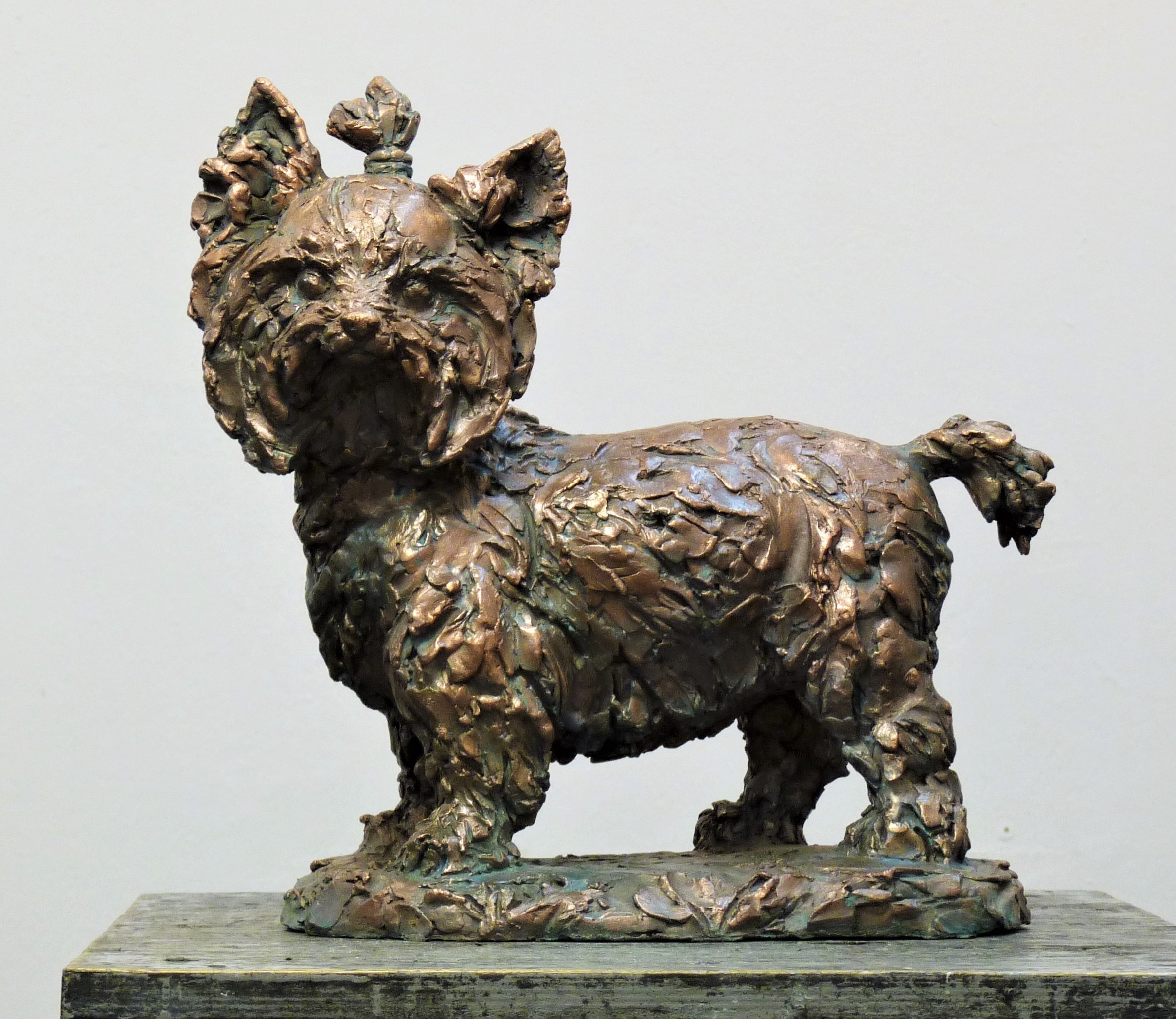 скульптура собаки в бронзе на заказ, скульптор Ольга Колосова,скульптуру из бронзы купить, 