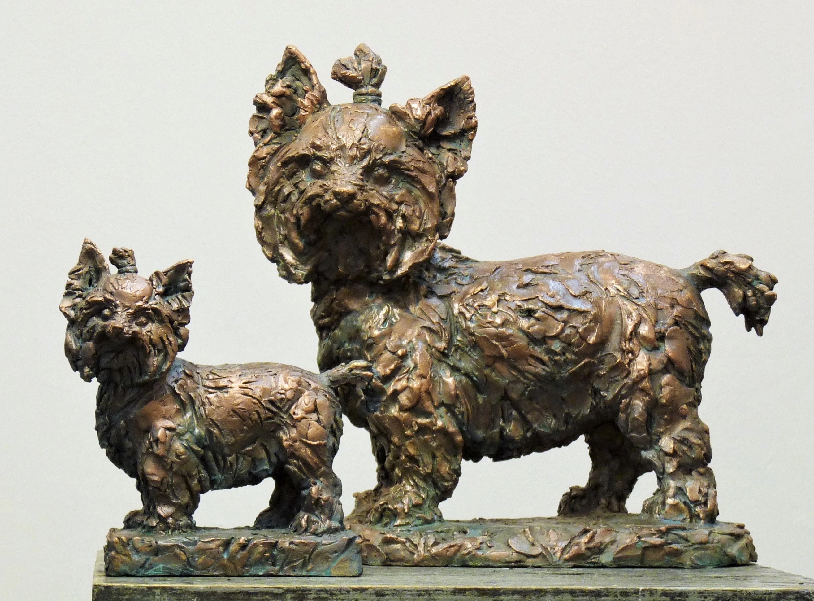 скульптура собаки в бронзе,  скульптуру животного из бронзы купить скульптор Ольга Колосова, скульптура на заказ, интерьерная скульптура на заказ.