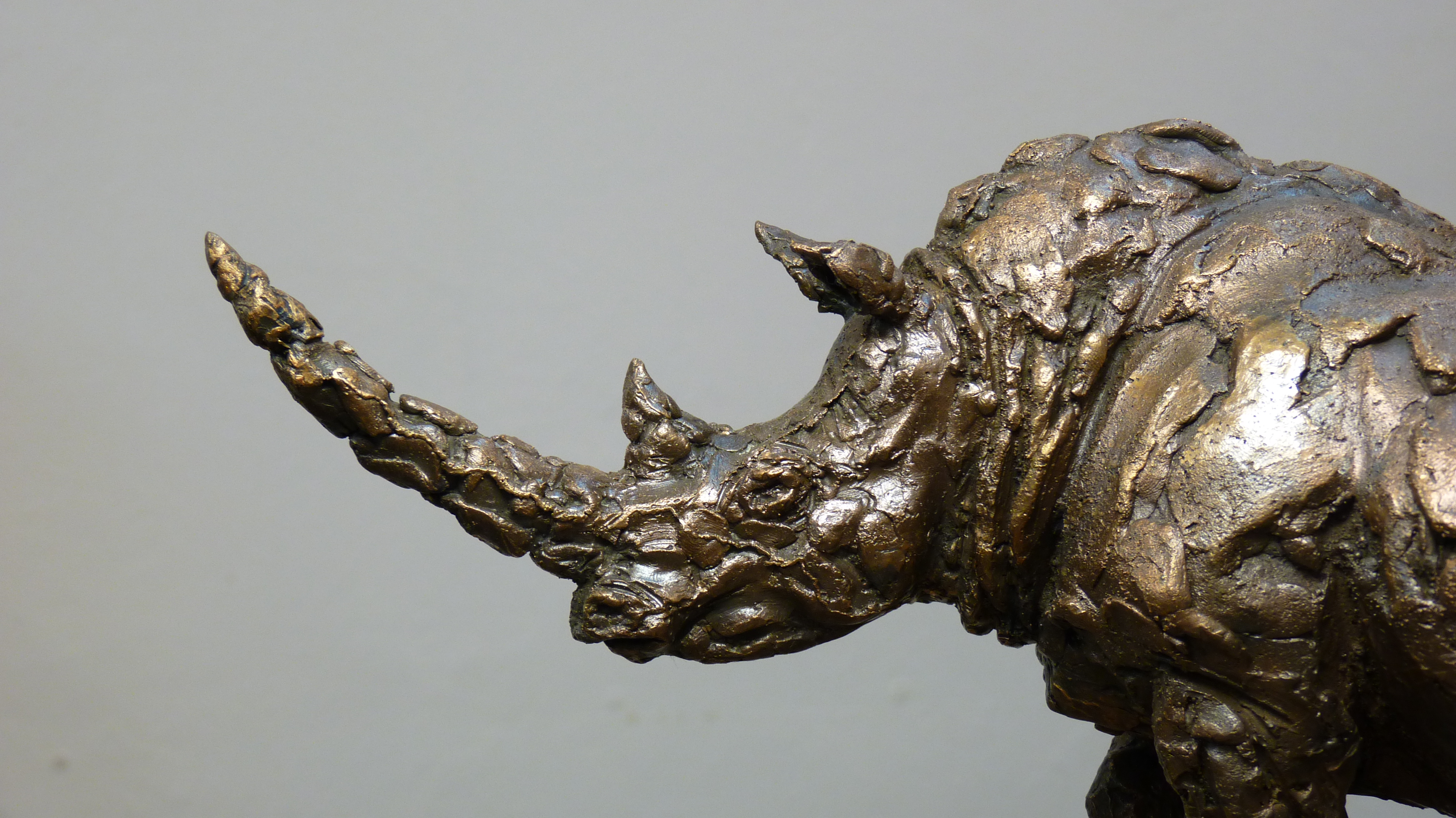 скульптура носорога в бронзе,  скульптуру животного  купить, скульптор Ольга Колосова.