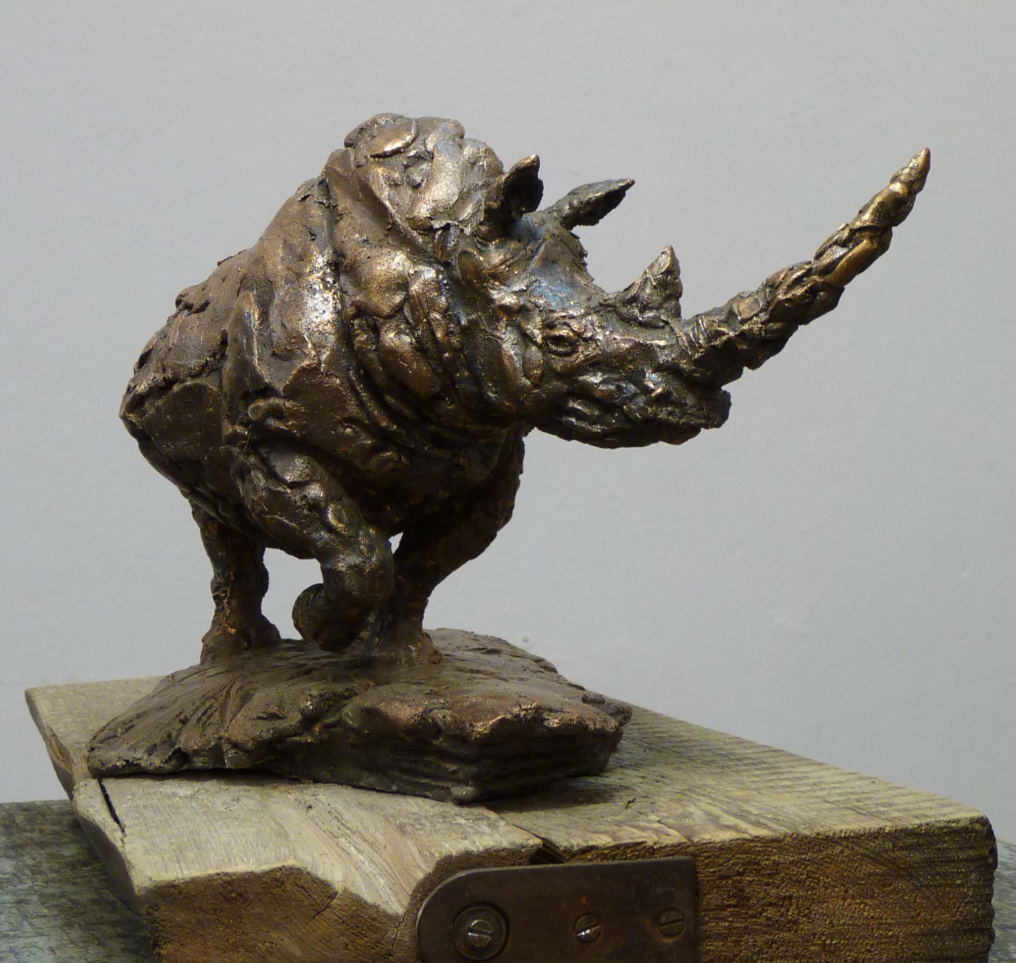 скульптура носорога, скульптуру животного  купить, скульптор Ольга Колосова.