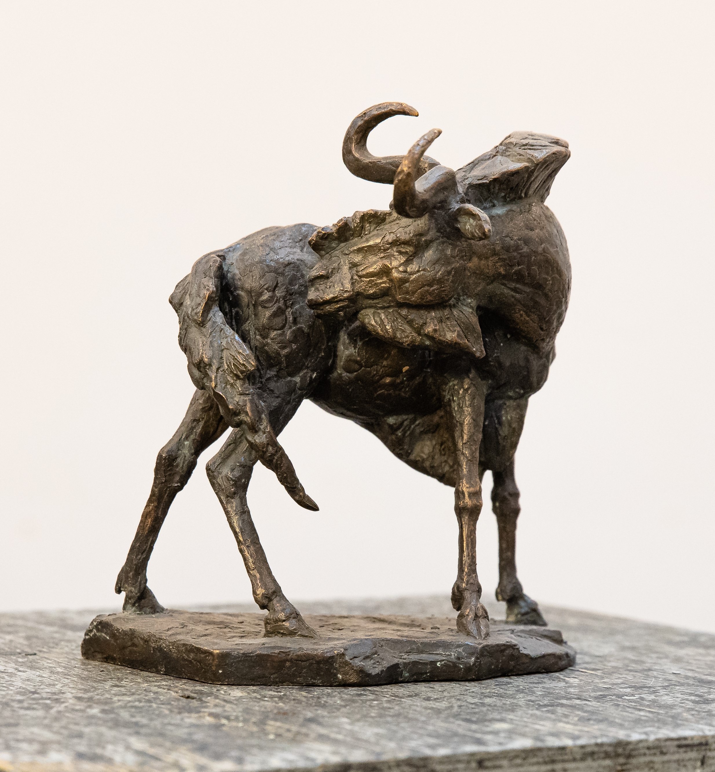 скульптура антилопы в бронзе, скульптор Ольга Колосова, авторская скульптура на заказ.