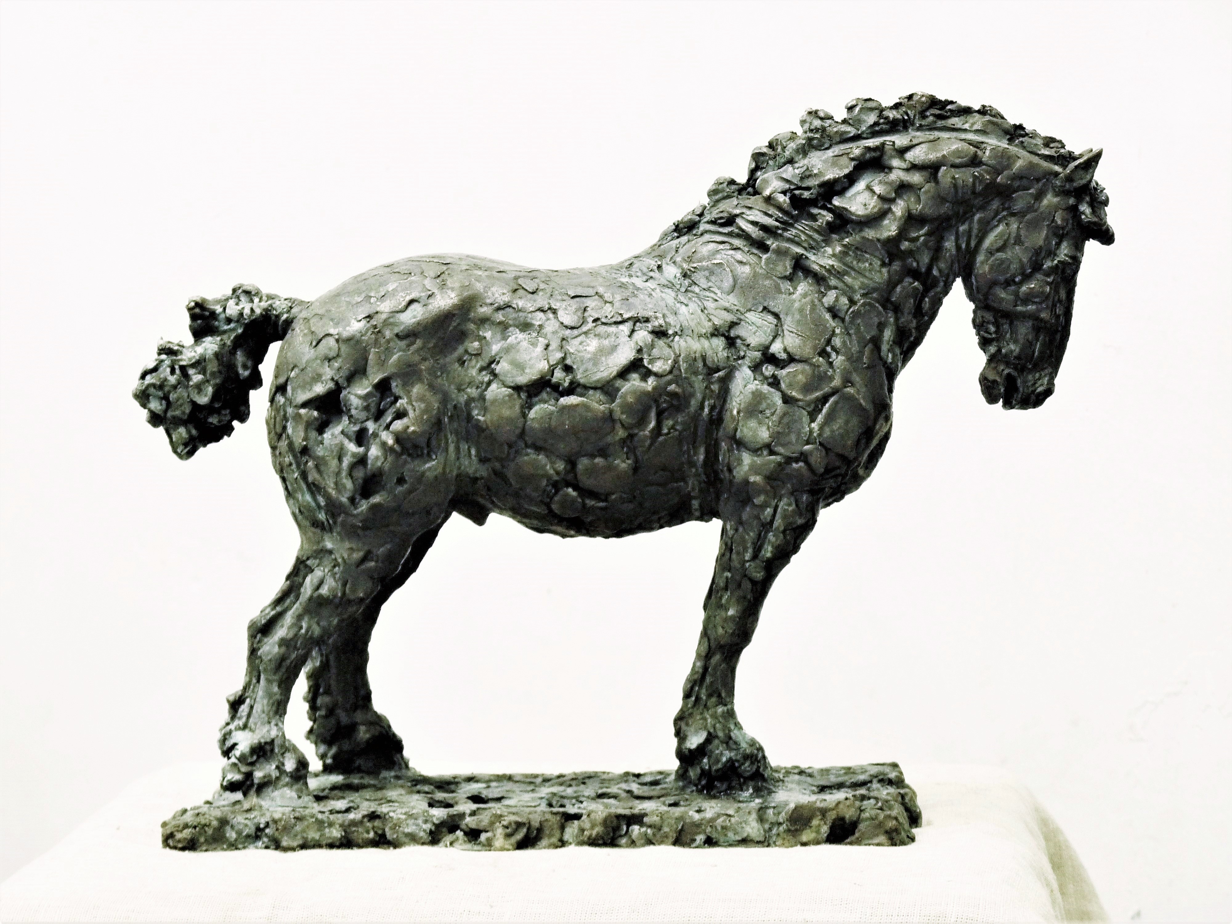 скульптура коня в бронзе, скульптор Ольга Колосова, авторская скульптура на заказ.