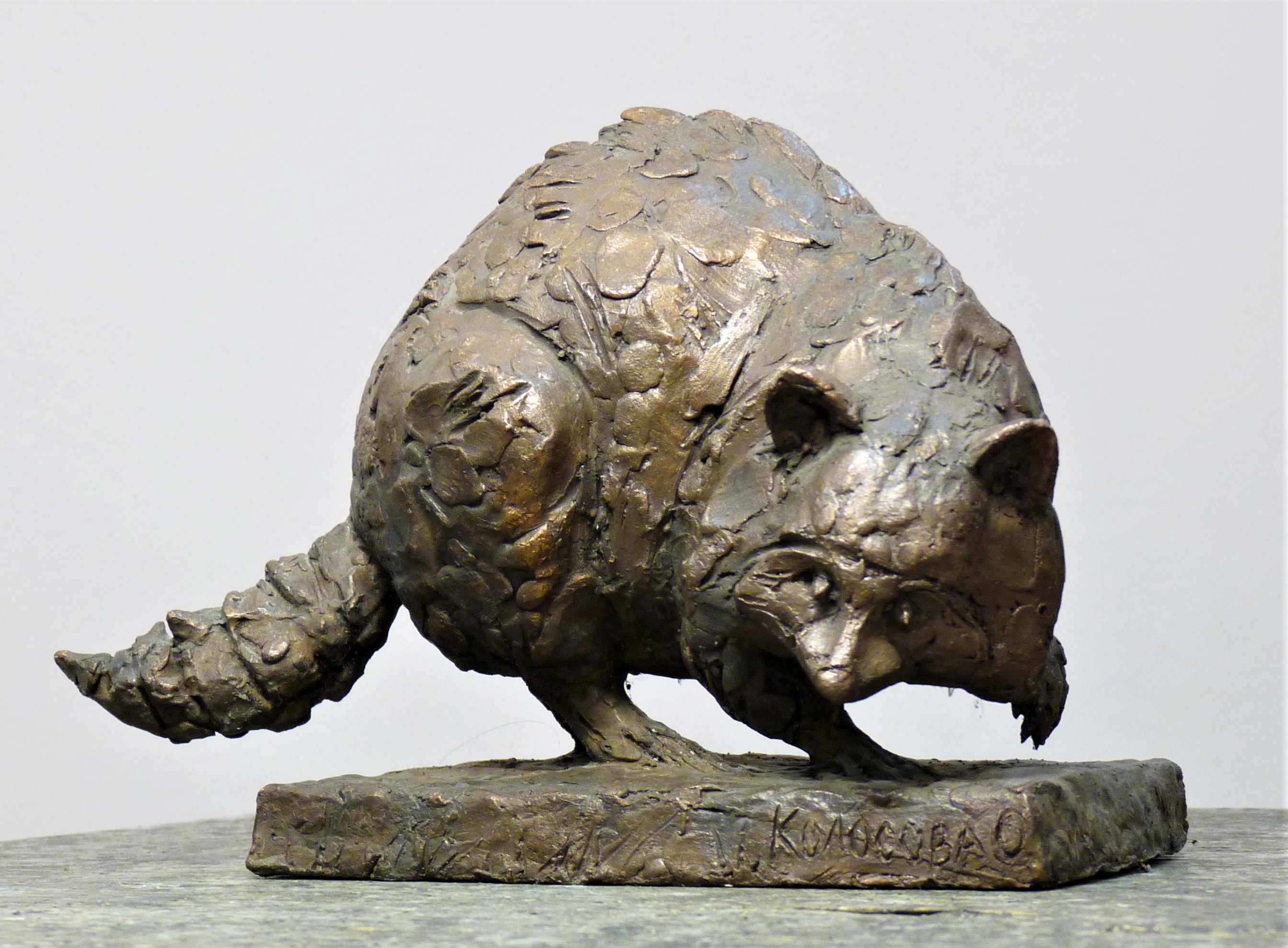 скульптура енота  бронзе, скульптуру енота купить, скульптуру животного из бронзы купить скульптор Ольга Колосова, скульптура на заказ, интерьерная скульптура на заказ.