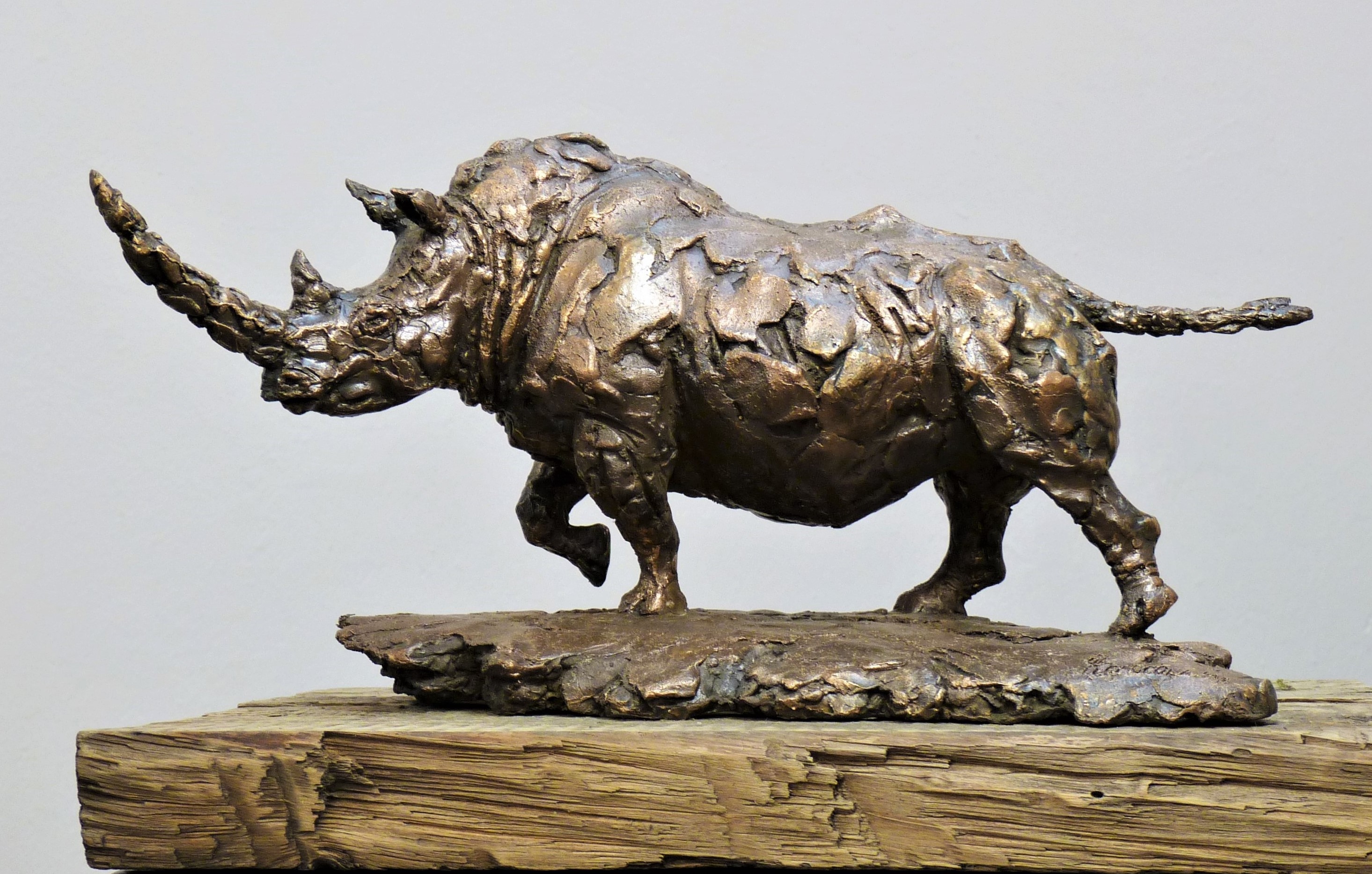  скульптура носорога в бронзе, скульптор Ольга Колосова, авторскую скульптуру в бронзе купить, Скульптор Ольга Колосова.