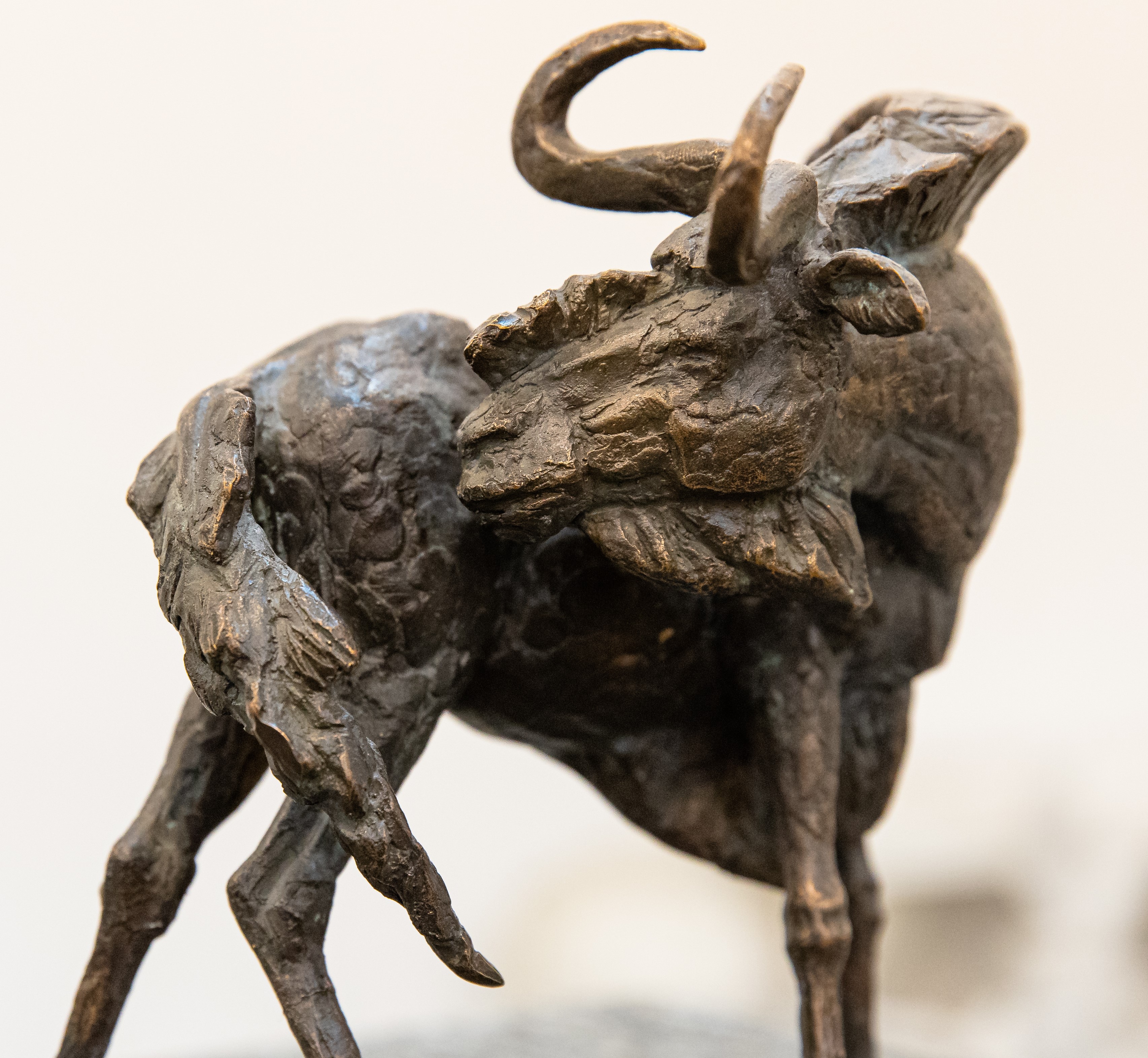 скульптура антилопы гну  в бронзе, скульптура на заказ, интерьерная скульптура, авторская скульптура, скульптор Ольга Колосова.